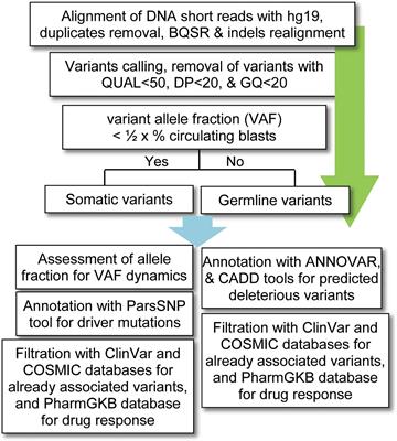 Novel Genetic Variations in Acute Myeloid Leukemia in Pakistani Population